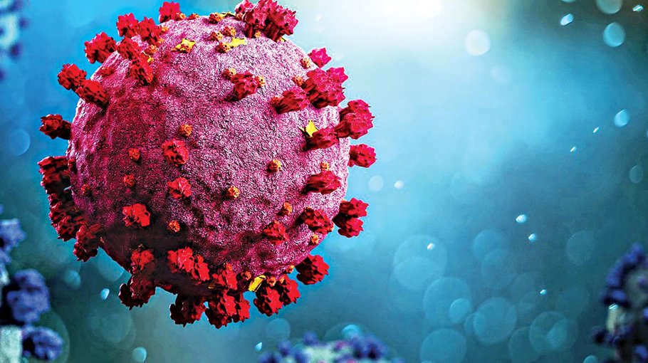 10 die of Covid, daily cases jump  to 8,407