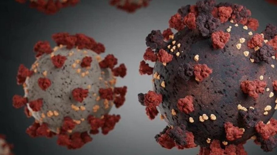 Second highest Covid cases in a day