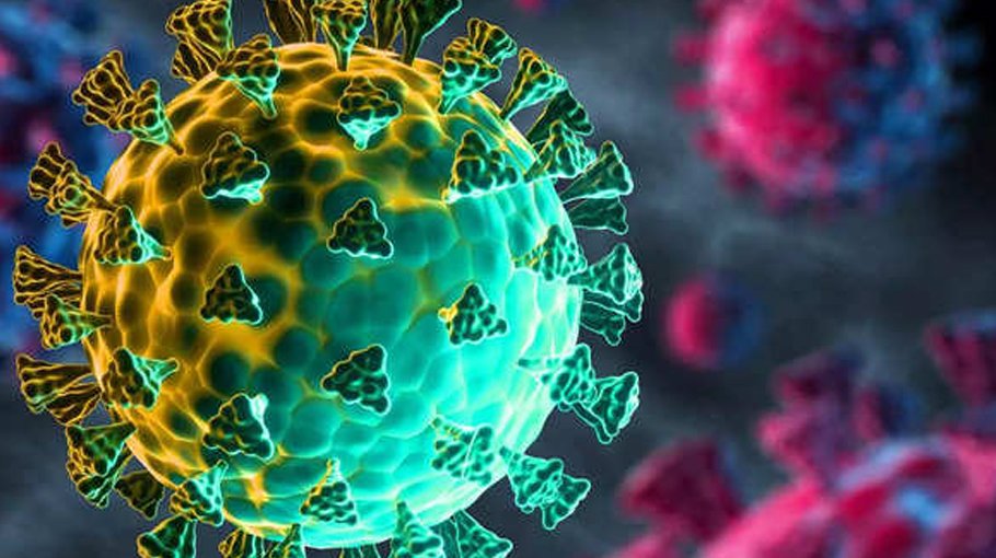 Covid claims 15 lives in 24 hrs