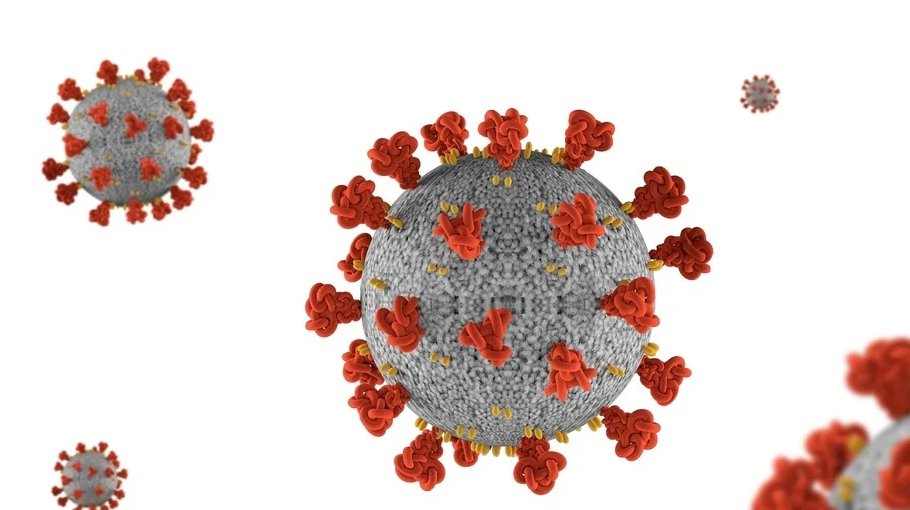 20 die, highest Covid infection rate in a day