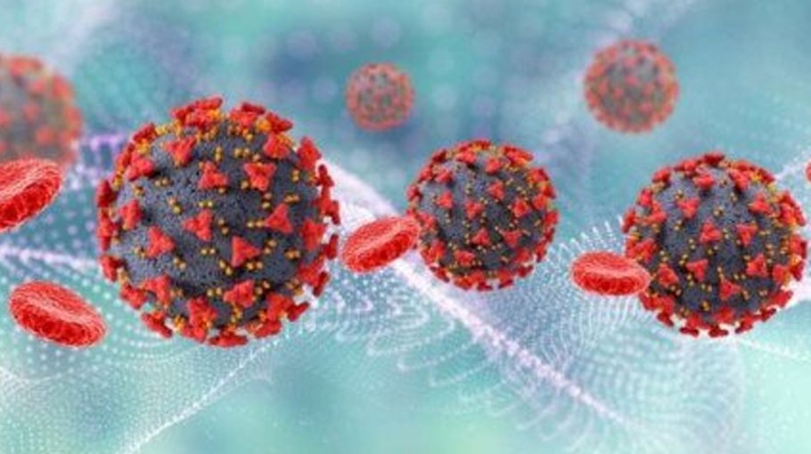 31 Covid deaths  in 24 hrs