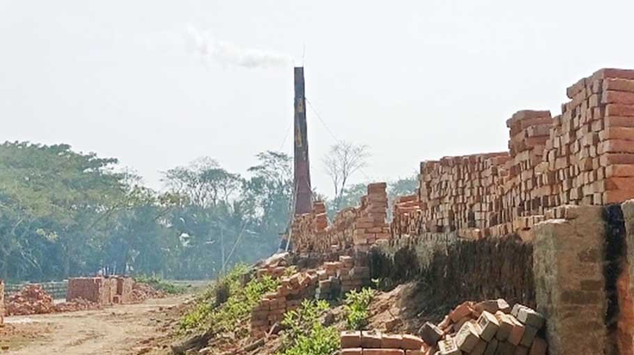 Brick kilns in Galachipa burning woods illegally   