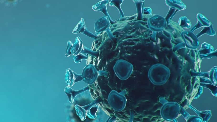 36 die of Covid in 24 hrs