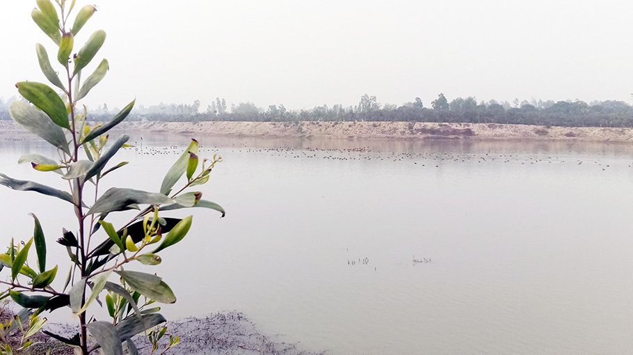 Bharardaha Beel becomes tourist hub after re-excavation