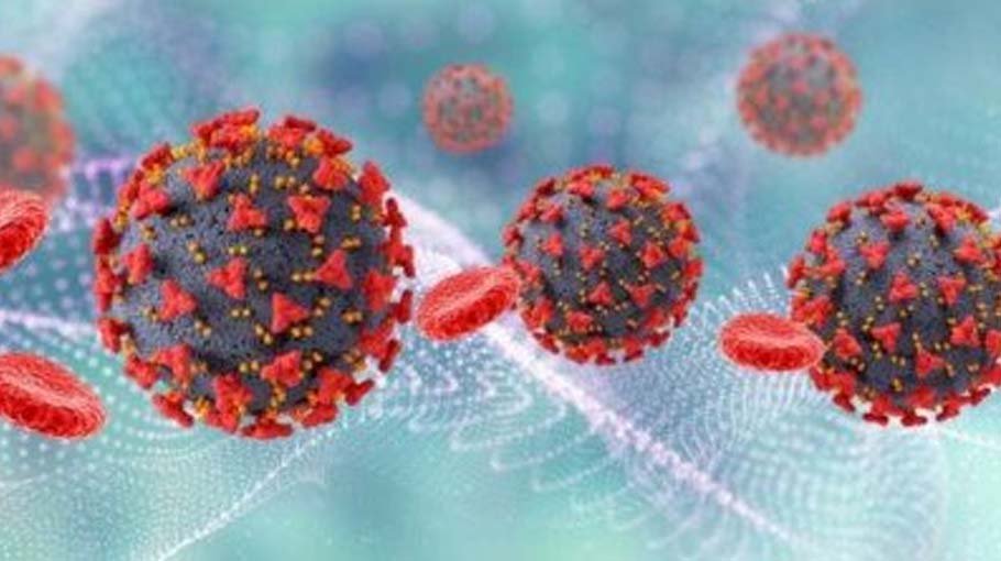 Daily Covid deaths drop to 20