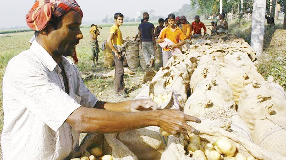 Low price of potato frustrates farmers in Rajshahi 