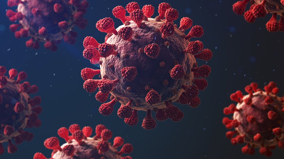 Daily Covid deaths, cases drop