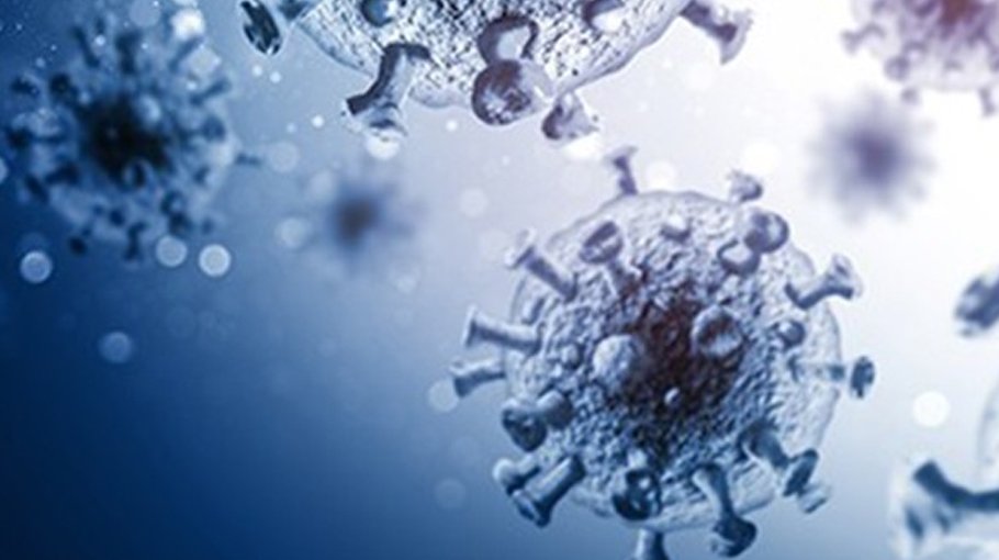 Lowest daily Covid deaths in over  6 weeks