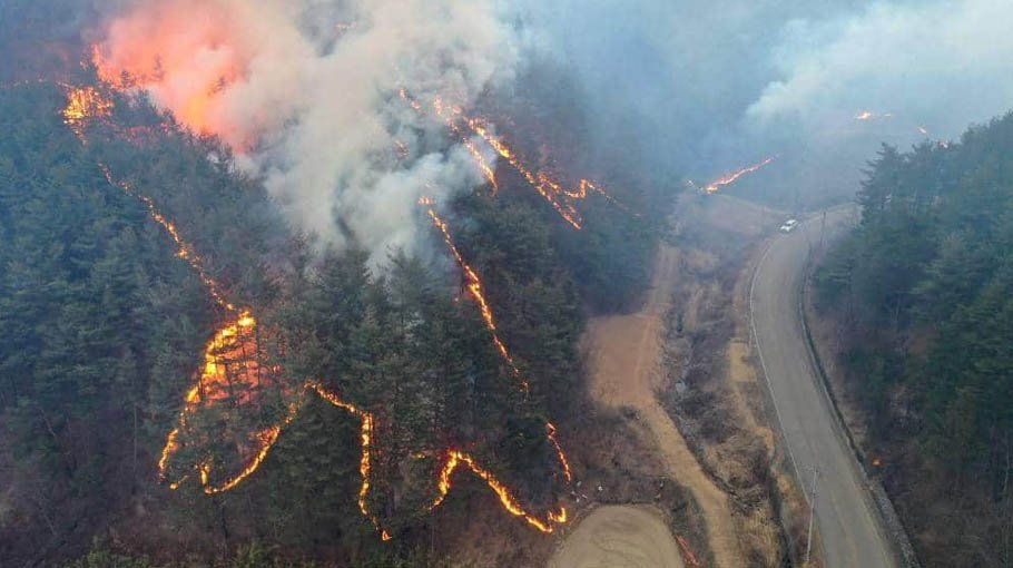 Firefighters battle ‘severe’ South Korean wildfire
