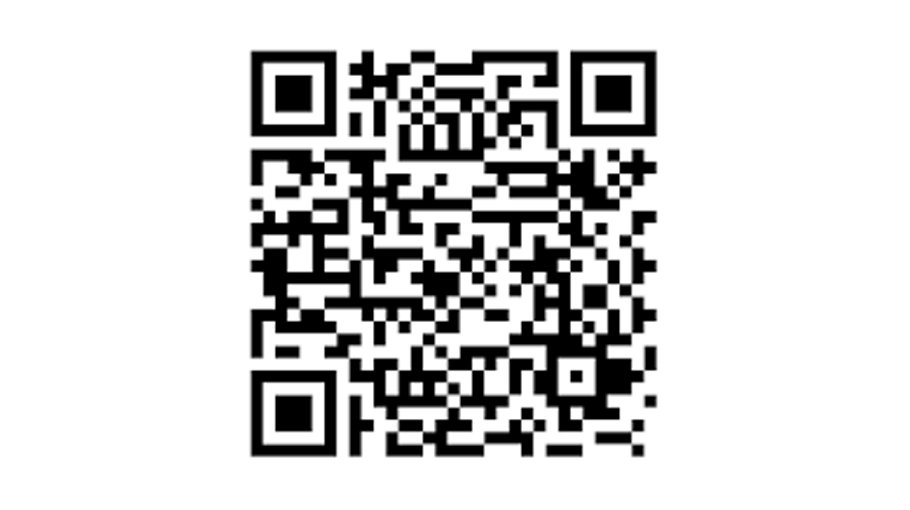 Land-sea trade corridor facilitates car imports from Middle East to China