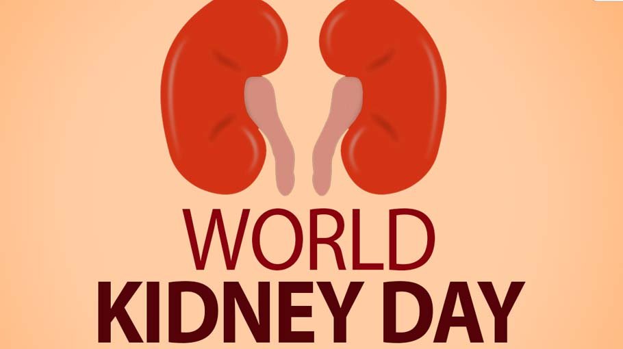 World Kidney Day observed in Tangail