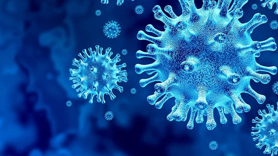 Country sees 3 Covid deaths in 24 hrs