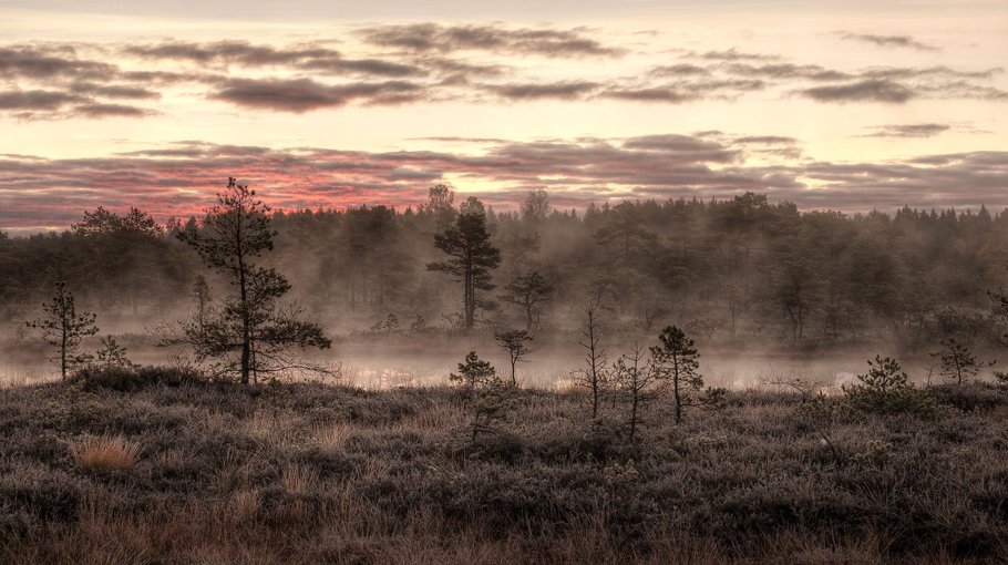 Methane acceleration sets record