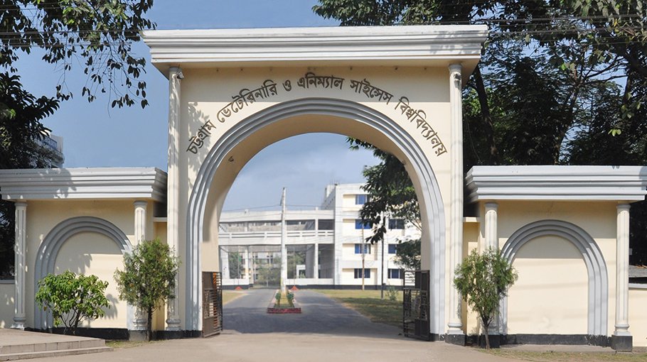 CVASU hosts spring Pitha festival