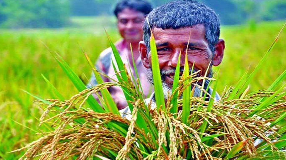 Smart card, fair price for farmers demanded