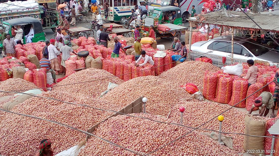 Pabna onion farmers in fear of loss