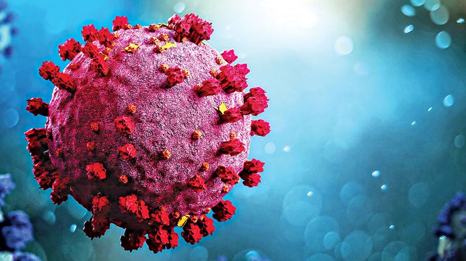 No Covid death for 4th consecutive day