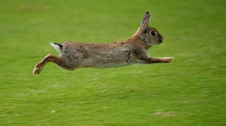 What else could Covid inflict on us?