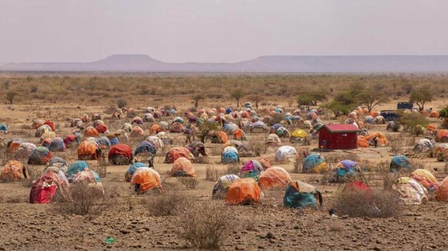 East and Horn of Africa brace for worst drought in decades