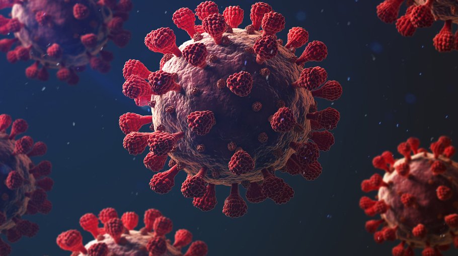 51 Covid cases  in 24 hrs