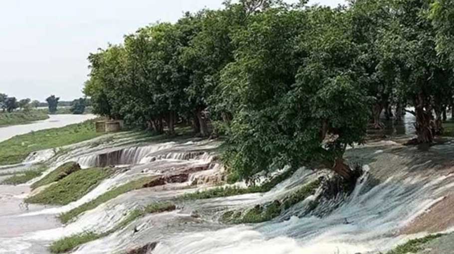 Dam-breach damages haor  crops in Sunamganj