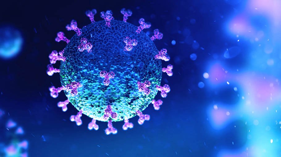 No Covid death, 50 new cases in 24hrs