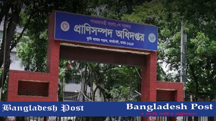 DLS Job Circular 2022 – www.msw.gov.bd