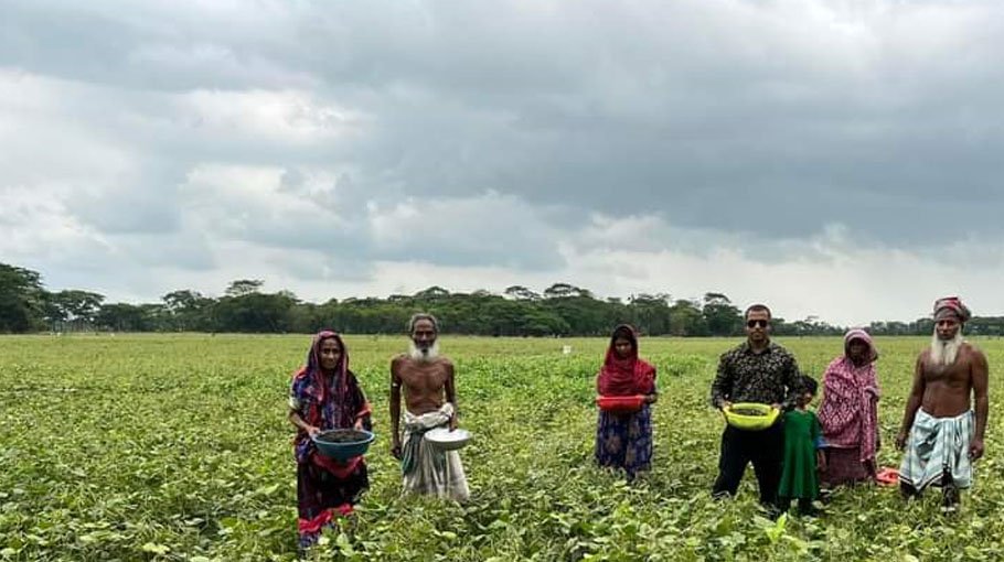 Bumper yield of Mung bean in Mirzaganj, farmers expect better price this year