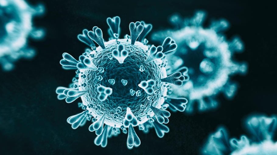 10 new cases, no Covid death in 24 hrs