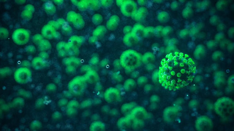 Bangladesh top in S Asia, 5th  in world