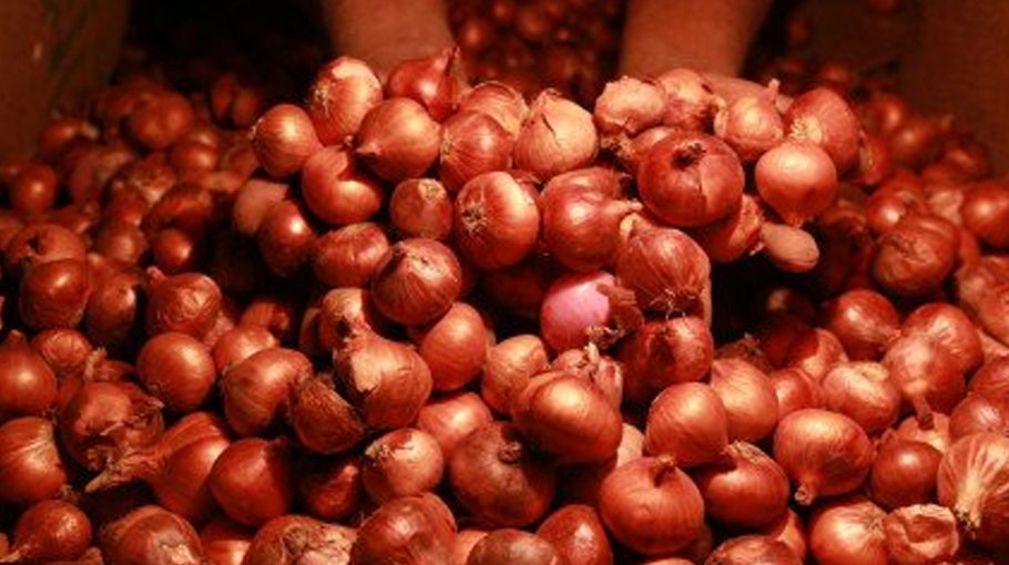 Import halt causes onion price hike in Khatunganj
