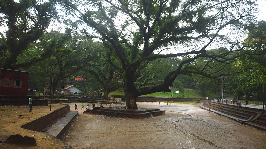 ‘Kumira can be alternative to CRB  for hospital construction’