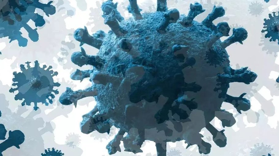 No death, 34 new Covid cases in 24 hours