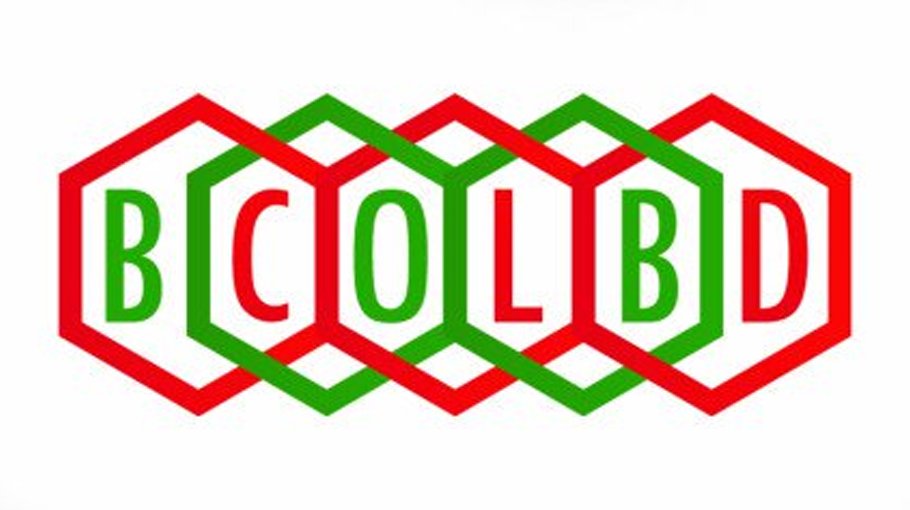 Blockchain Olympiad Bangladesh 2022 begins