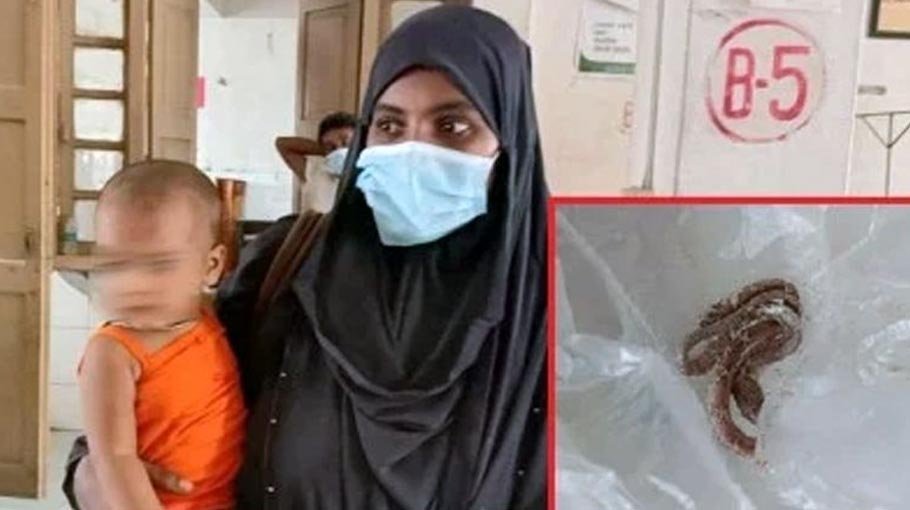 Child bites baby snake to death