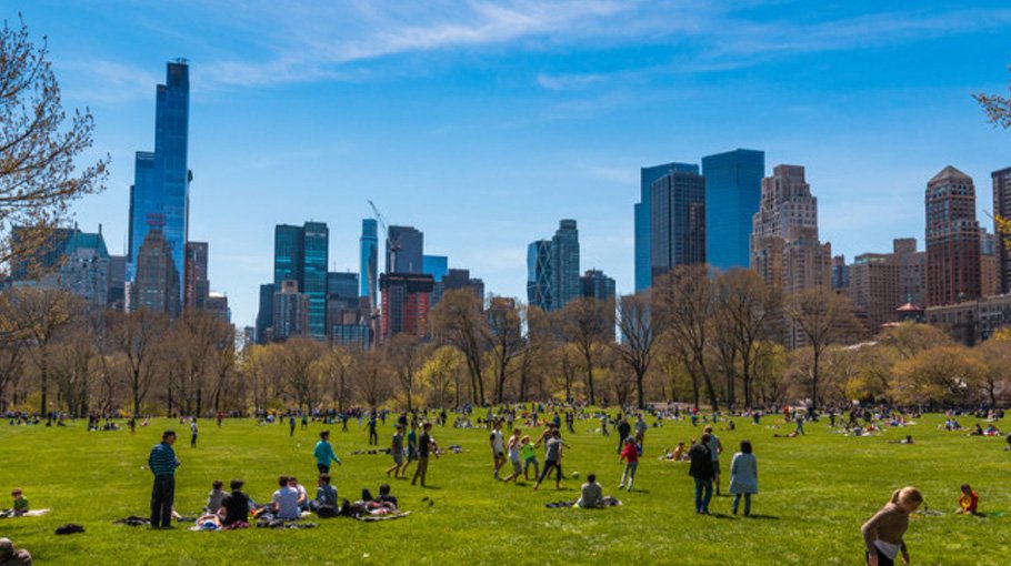 Cities with plants and greenery