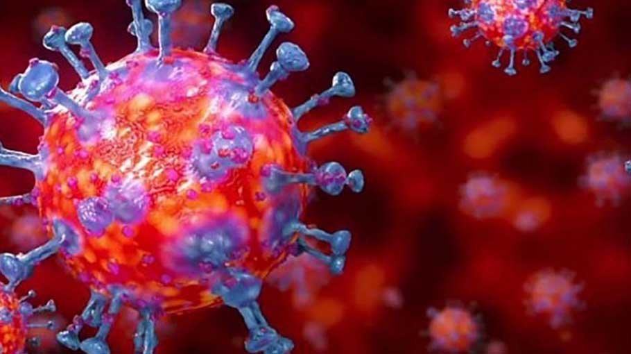 No death, 71 new Covid cases in 24 hours