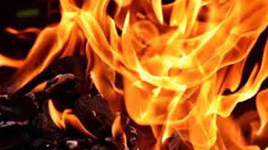 Fire breaks out at moving ferry, doused quickly