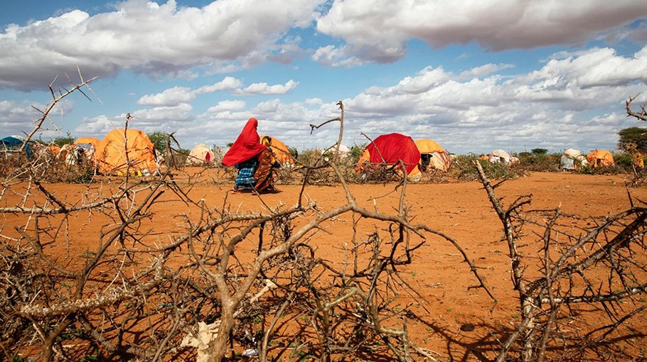 ‘We buried him and kept walking’: Children die as Somalis flee hunger