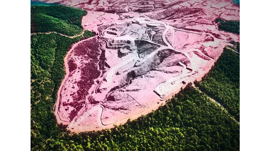 Deforestation will have a massive worldwide impact
