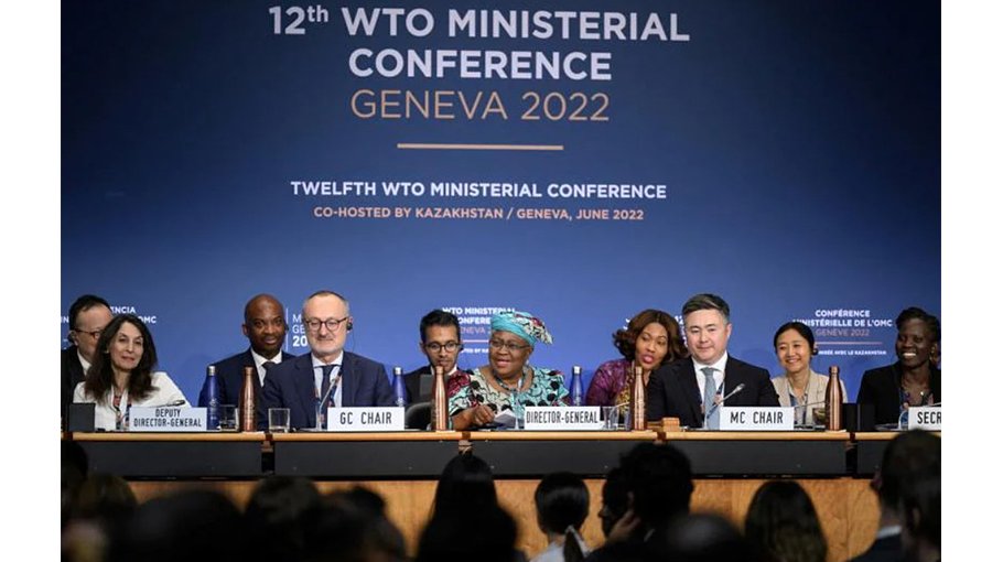 WTO approves vaccine-patent waiver to help combat Covid pandemic