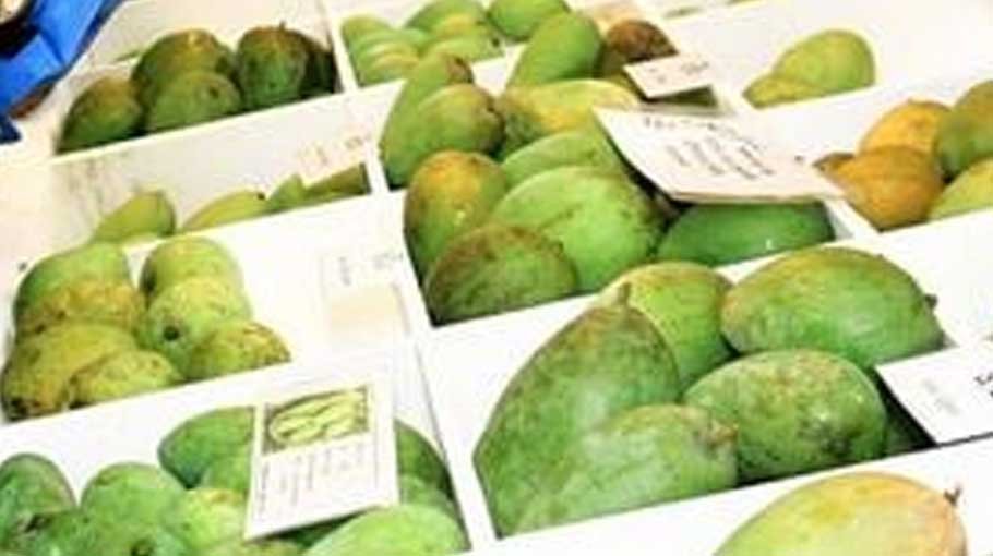 National Fruit Fair extended by two days 