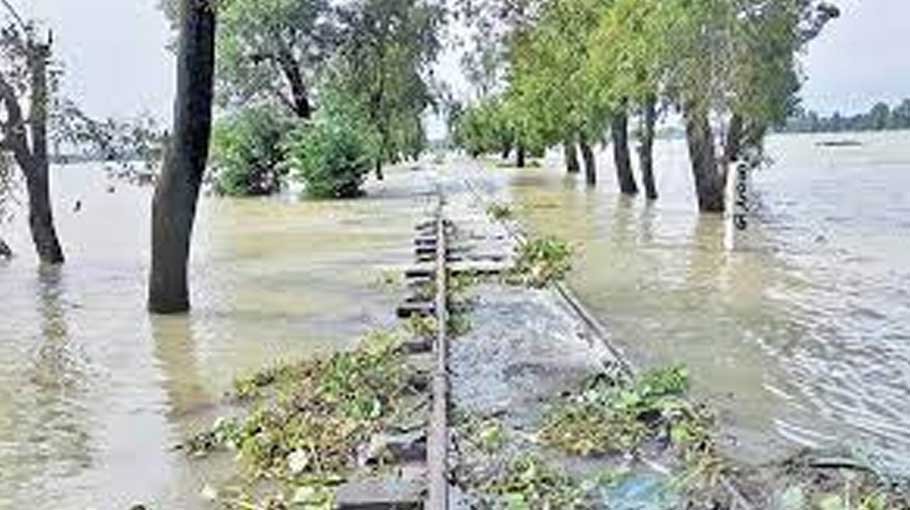 Transboundary rivers mismanagement results in Sylhet flooding