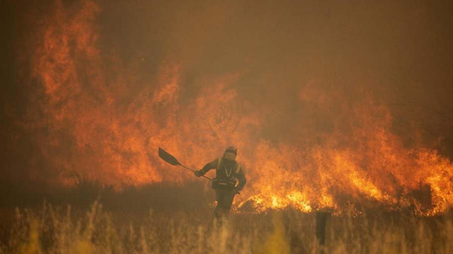 Europe’s bushfire risk heightened by early heat waves, drought