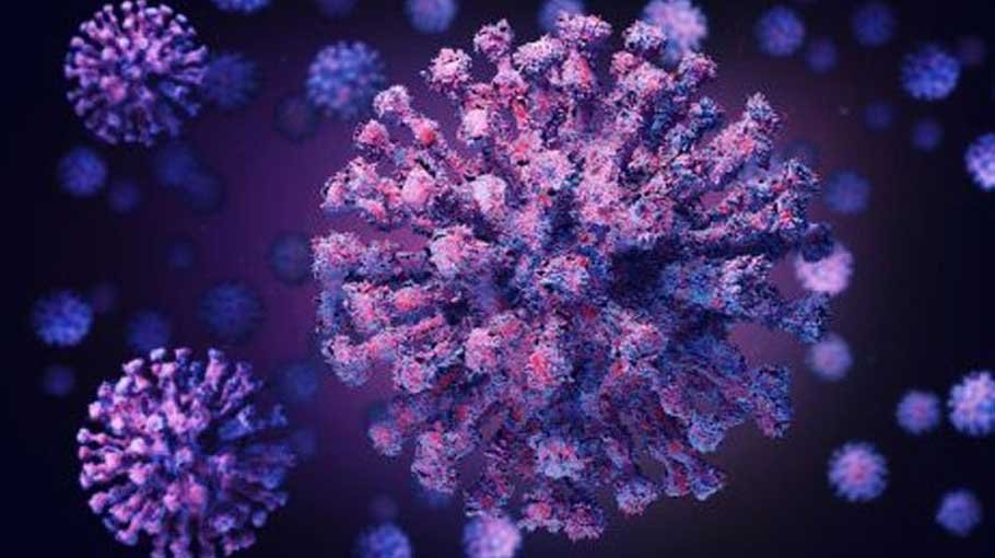 Daily Covid infection rate 13.30pc