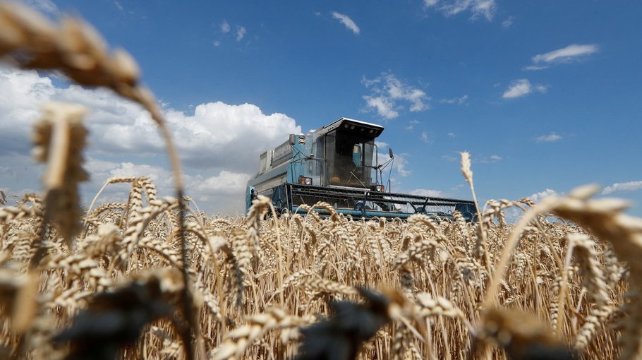 Global food insecurity and the Ukraine war  