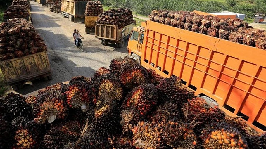 Indonesia looks to raise palm oil export quota, biodiesel mix in fuel