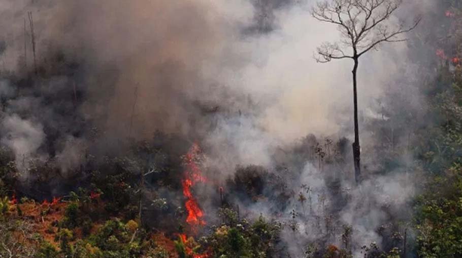 Brazil sets new six-month Amazon deforestation record