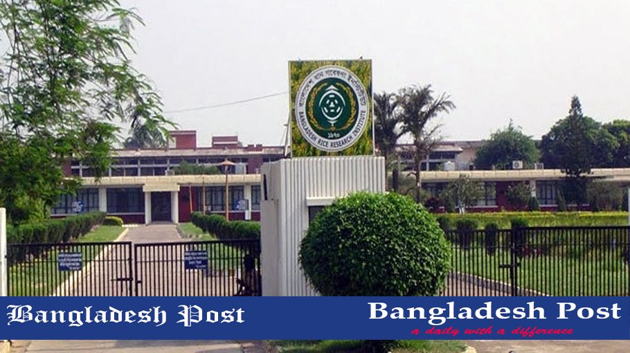 BRRI High School Job Circular 2022