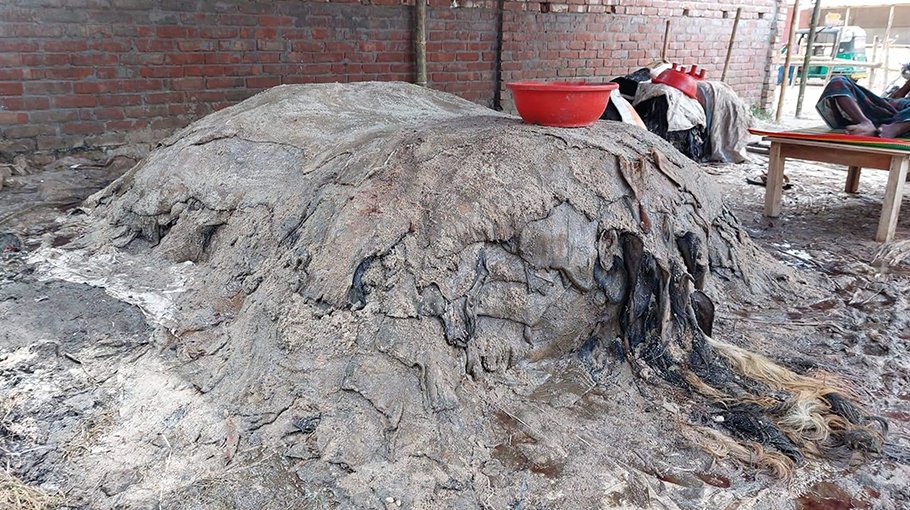 Sacrificial animal skin lack  buyers in Chatmohar